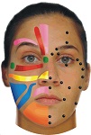 Click me to learn more about how Facial Reflexology can benefit you.
